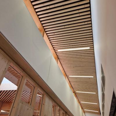 College Melesse luminaire LED plafond bois