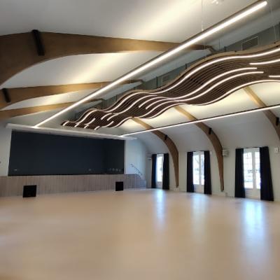 lineaire LED encastre ACTiLED dans plafond bois vague Laudescher