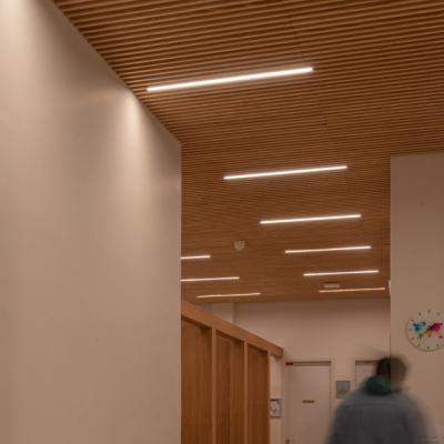 linéaires LED ACTiLED Mairie 8e PARIS