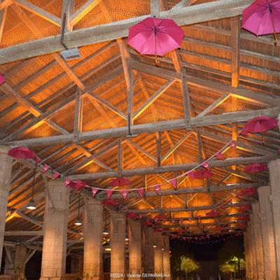 eclairage tubulaires ACTiLED halles Couhe Valence en Poitou