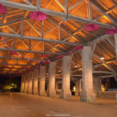 tubulaires LED ACTiLED halles Couhe Valence en Poitou