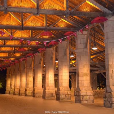 tubulaires ACTiLED halles Couhe Valence en Poitou