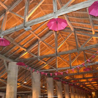 tubulaires ACTiLED halles Couhe Valence en Poitou