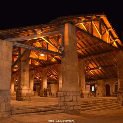 tubulaires ACTiLED halles Couhe Valence en Poitou