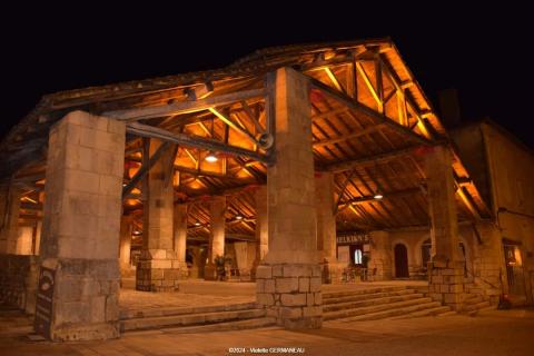 tubulaires ACTiLED halles Couhe Valence en Poitou