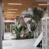 linéaires plafond bois circulation Lycée Alice Milliat