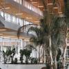 linéaires plafond bois ACTILED hall lycée Alice Milliat