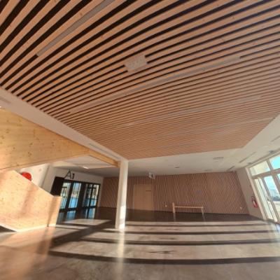 Eclairage lineaire ACTiLED dans plafond bois Rochexpo