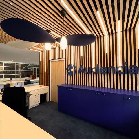 linéaires ACTiLED dans plafond bois ARDEMO